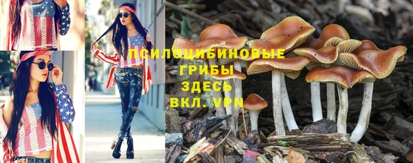 спайс Белокуриха